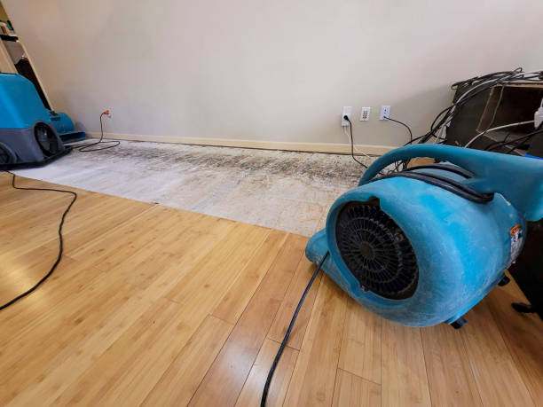 Professional Water Extraction technician working in Oldwick, NJ